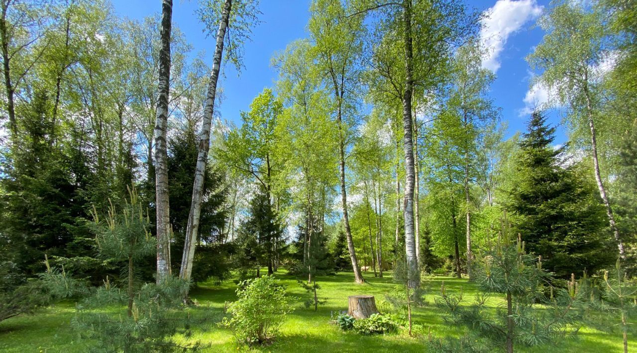 земля г Истра Вижн кп фото 2