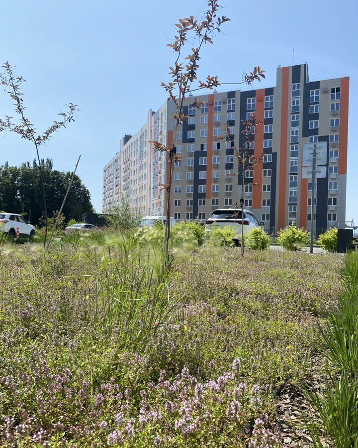 квартира г Тольятти р-н Автозаводский ул Ботаническая 16 фото 8