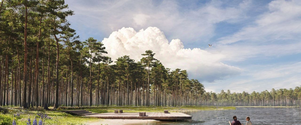 квартира г Красногорск Павшино Рига Хиллс жилой комплекс, к 1 фото 20