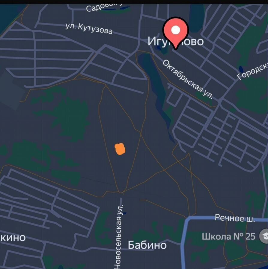 земля г Дзержинск сельский пос. Игумново фото 1