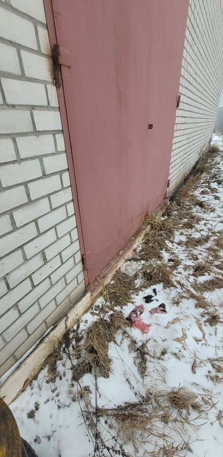 гараж г Вологда ул Гагарина фото 11