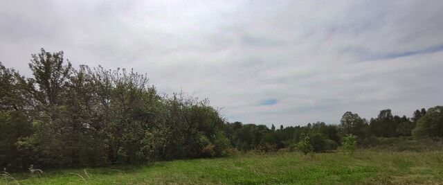 городской округ Серпухов д Шатово фото