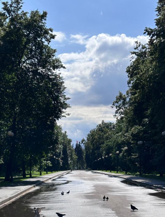 квартира г Москва метро Петровский парк ул Верхняя Масловка 21 Парк фото 30