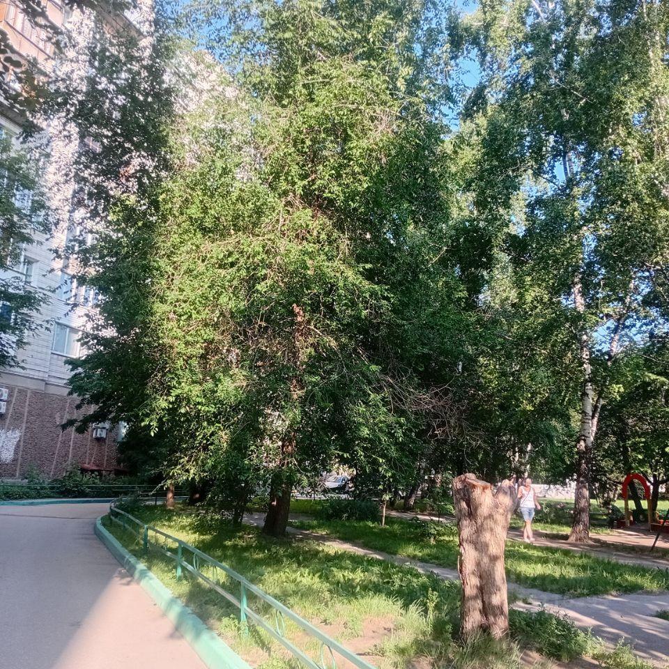 квартира г Новосибирск р-н Ленинский ул Титова 1 фото 24