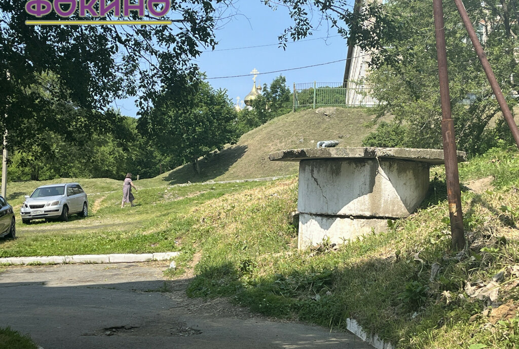 квартира г Фокино п Дунай ул Ветеранов 5 фото 25