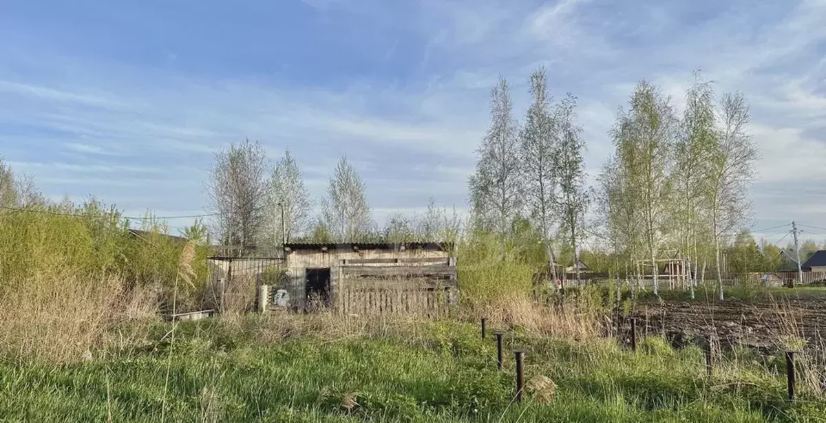 земля г Тюмень р-н Центральный территория СОСН Берёзка-3 фото 1