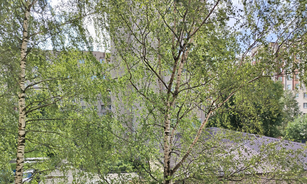 квартира г Великий Новгород ул Нехинская 30/32 фото 13