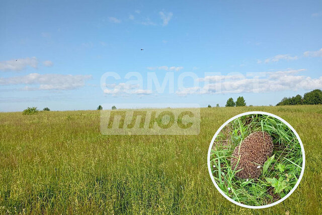 земля р-н Кемеровский фото