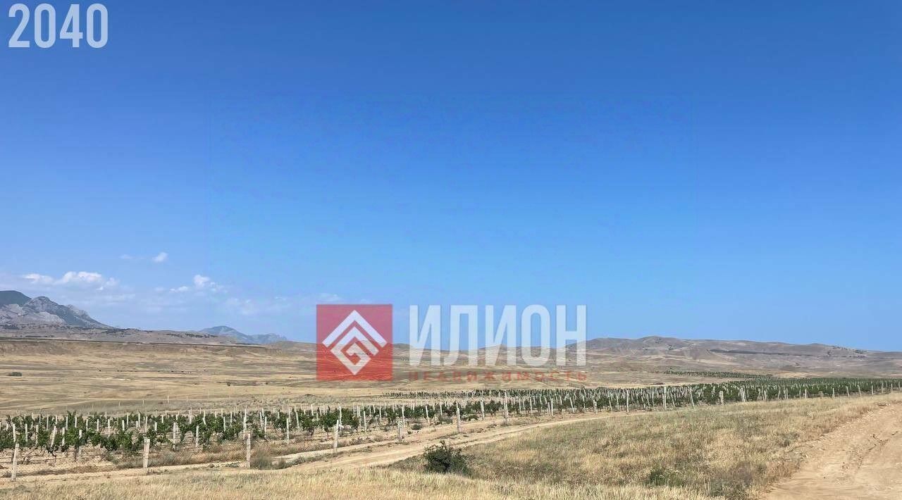 земля г Судак с Миндальное снт Меганом фото 2