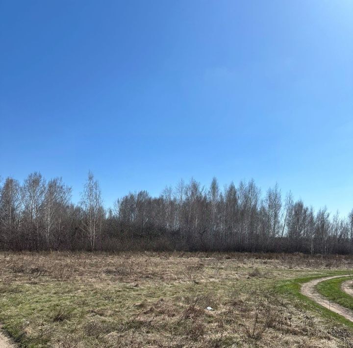 земля г Омск р-н Октябрьский снт Восток аллея 1-я Садовая фото 1