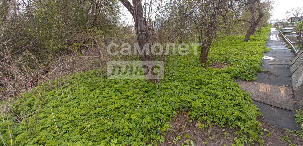 земля г Кострома ул Гагарина фото 4