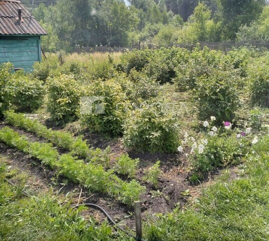 р-н Павловский п Новые Зори снт Железнодорожник ул Лесная 309 фото