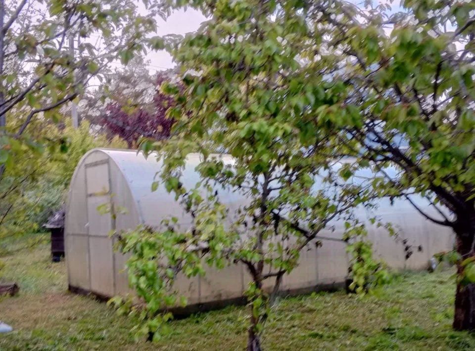 земля г Калининград снт Мечта пр-д 13-й 11/53а фото 2