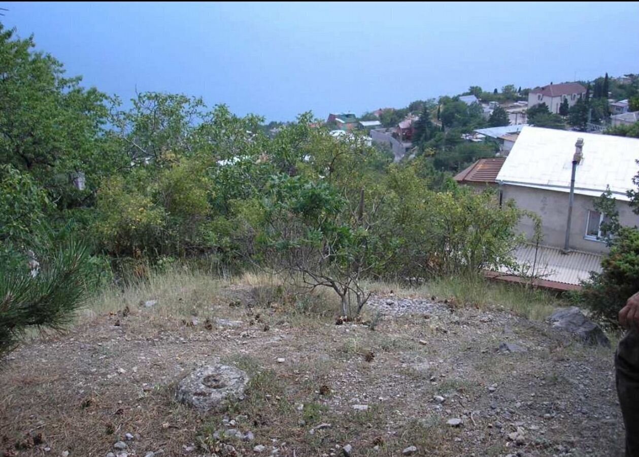 земля г Ялта г Алупка ул Калинина фото 4