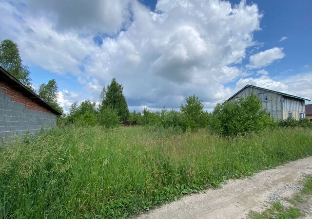 СТ Пашинская Заря фото