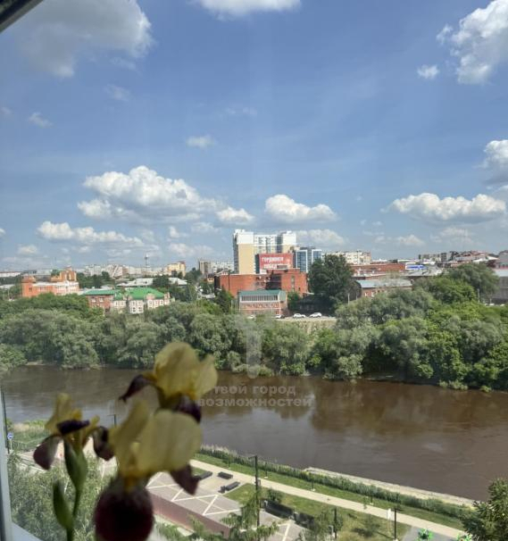 квартира г Омск ул Чехова 3 фото 2