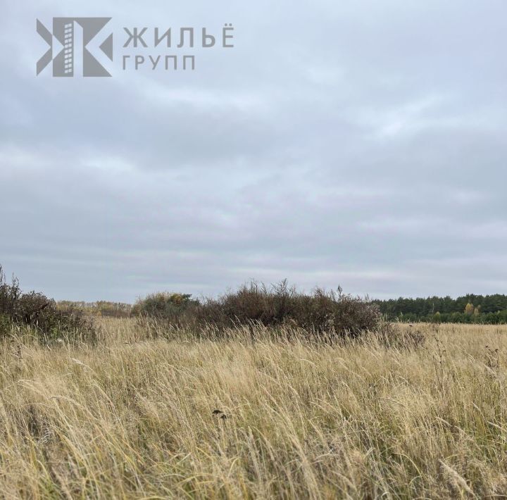земля г Казань с Большие Дербышки р-н Советский Авиастроительная Казань, жилмассив, ул. Заречная, 2 фото 4