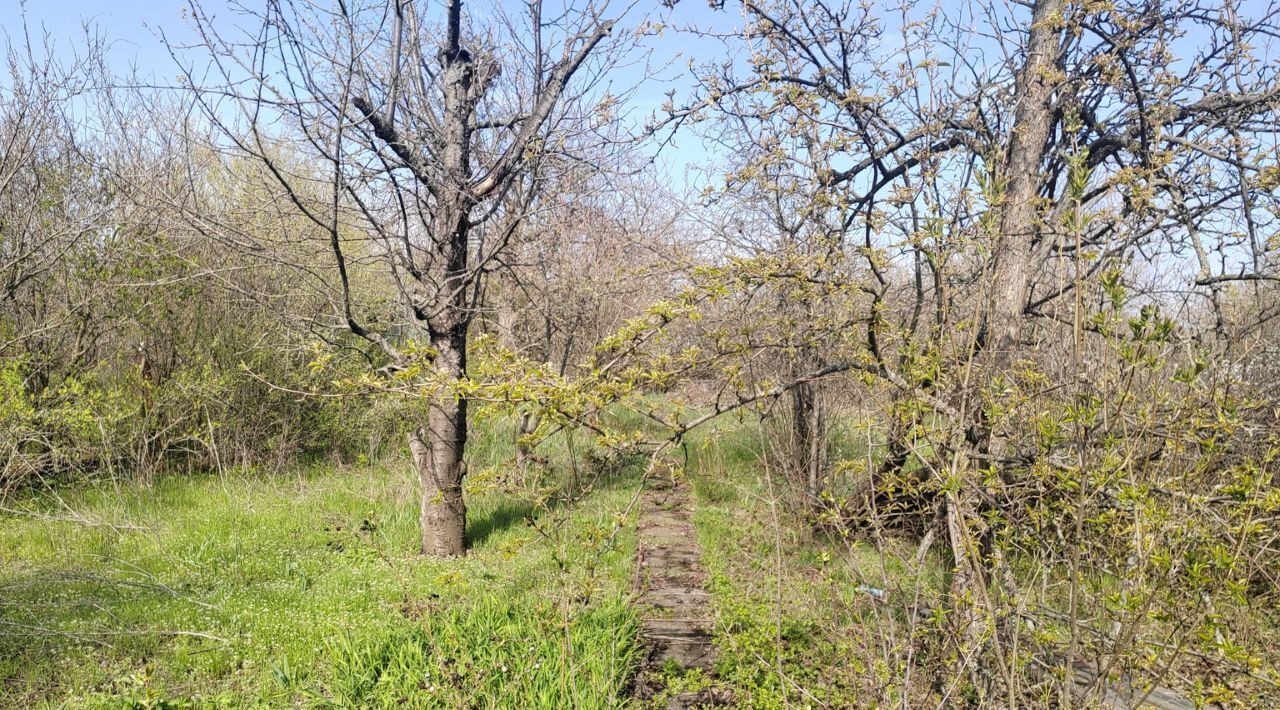 земля г Новочеркасск ул Лесная 36 № 16 садовое товарищество фото 1