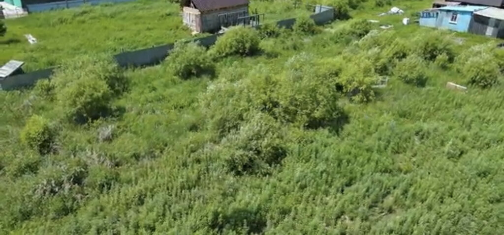 земля г Благовещенск фото 4