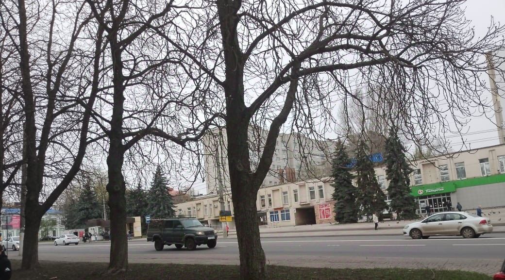 квартира г Курск р-н Центральный ул Овечкина 3 фото 3