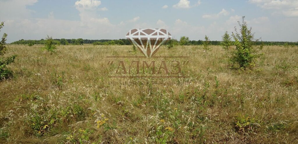 земля г Елец ул Университетская фото 1