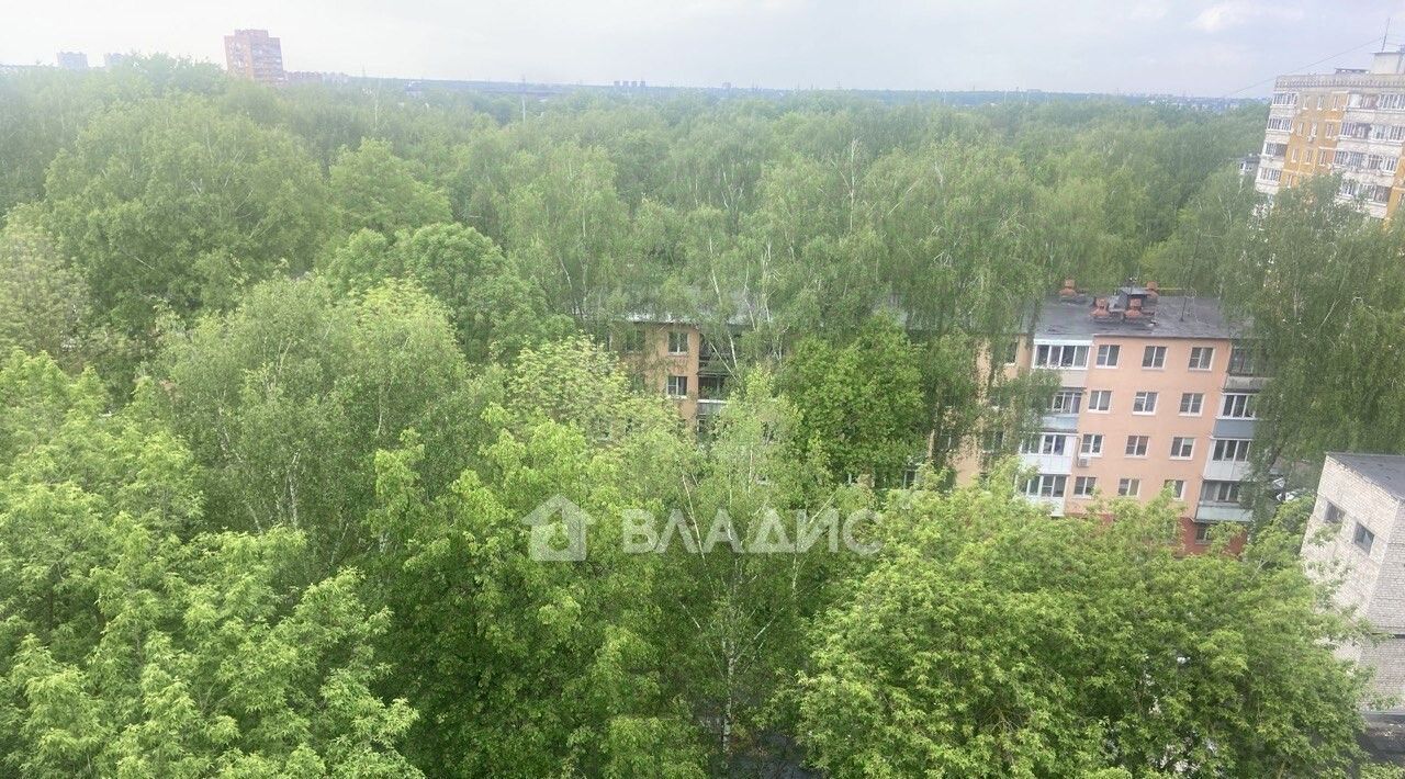 квартира г Нижний Новгород Двигатель Революции пр-кт Ленина 61 фото 11