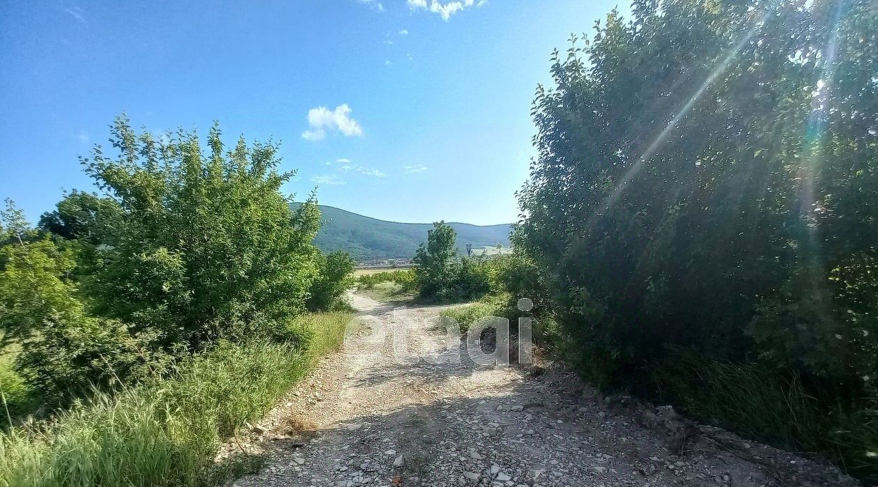 земля г Геленджик с Кабардинка фото 4