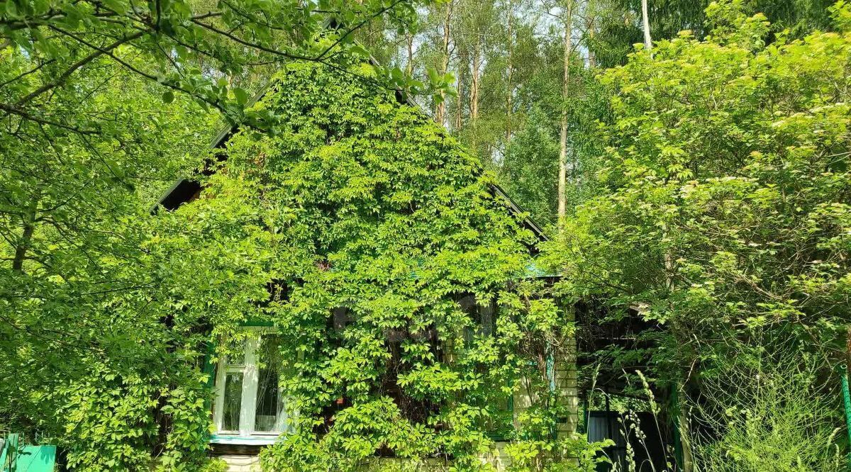 земля г Краснокамск снт Рябинушка фото 10
