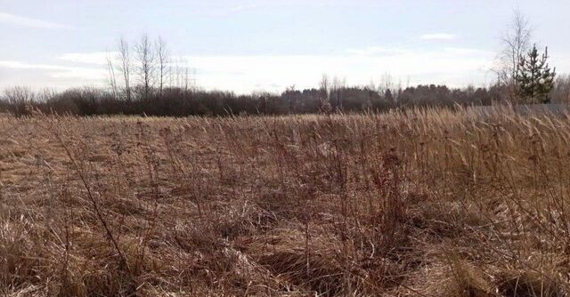 Коломна городской округ фото