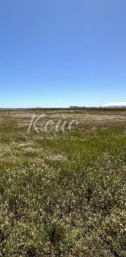 земля г Феодосия ул Каштановая фото 3