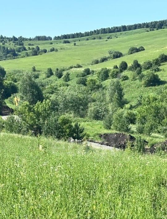 земля г Горно-Алтайск фото 4