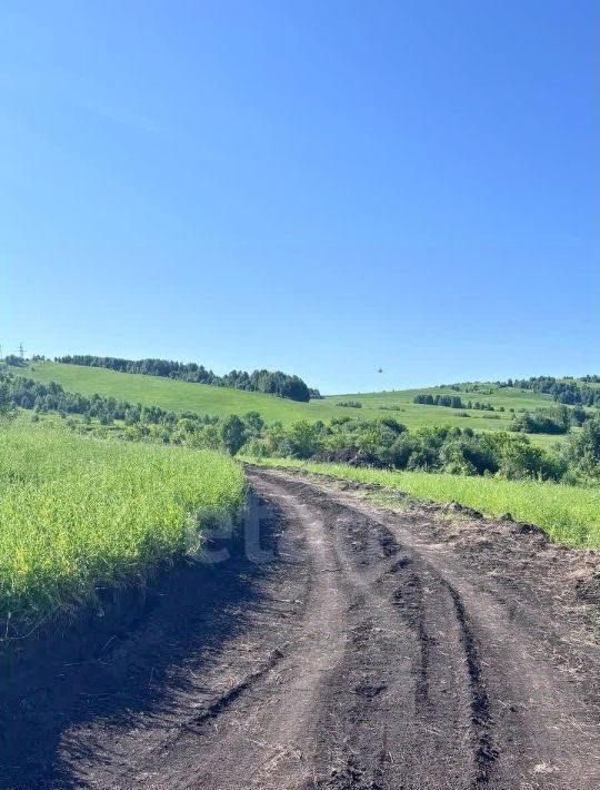 земля г Горно-Алтайск фото 7