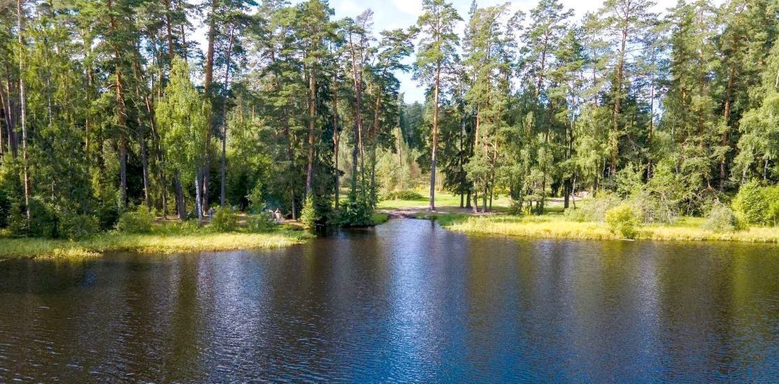 земля городской округ Пушкинский г Красноармейск 34 км, территория СНТ Лесные Поляны, 13, Ярославское шоссе фото 2
