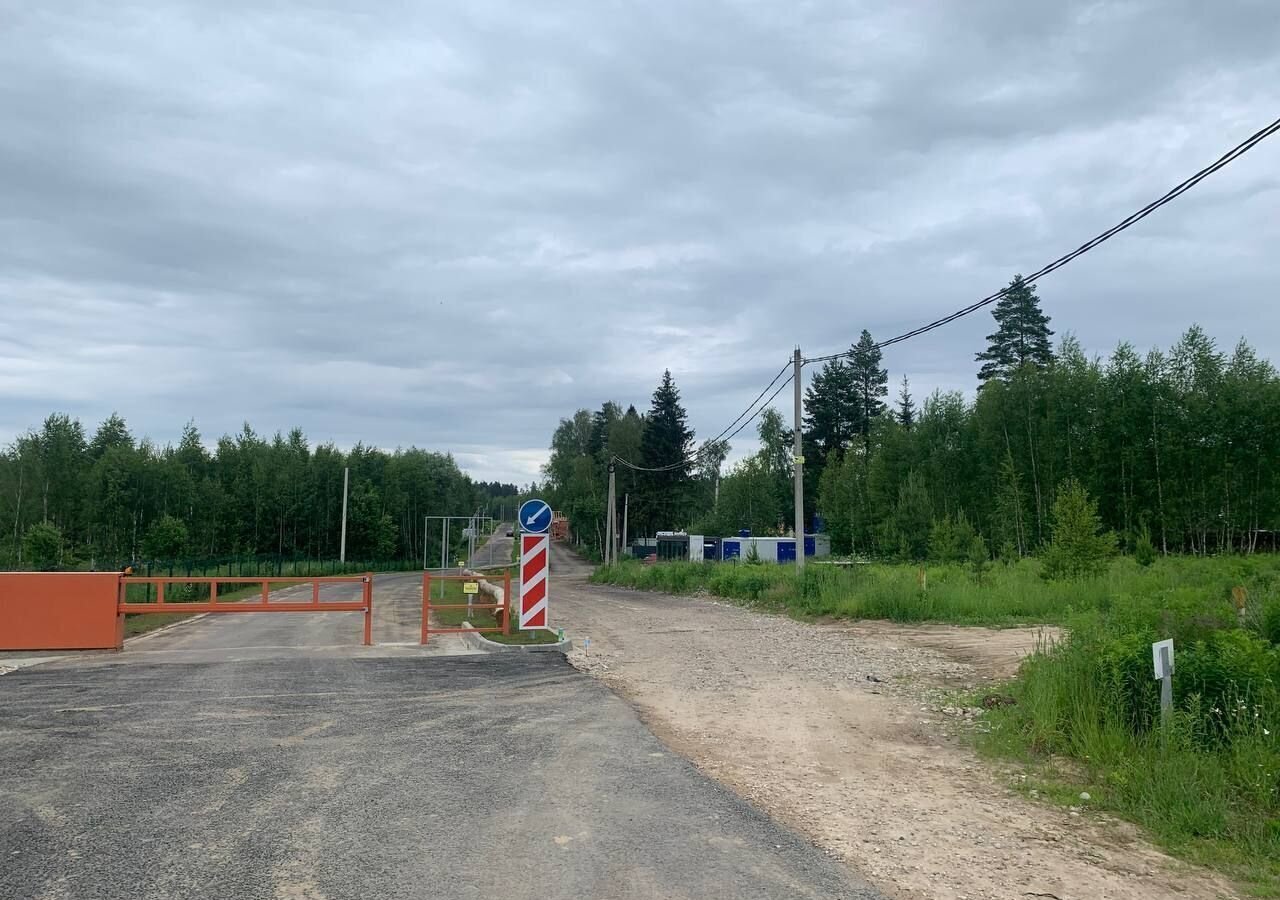земля г Красноармейск р-н поселок Балсуниха пер 2-ой Лесной 4 35 км, Ярославское шоссе фото 7