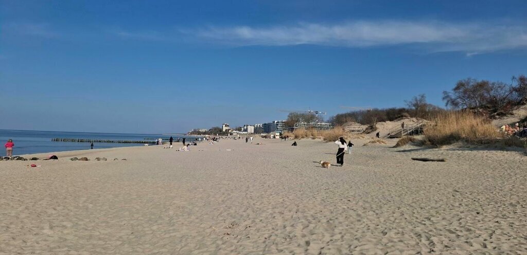 квартира р-н Зеленоградский г Зеленоградск фото 17