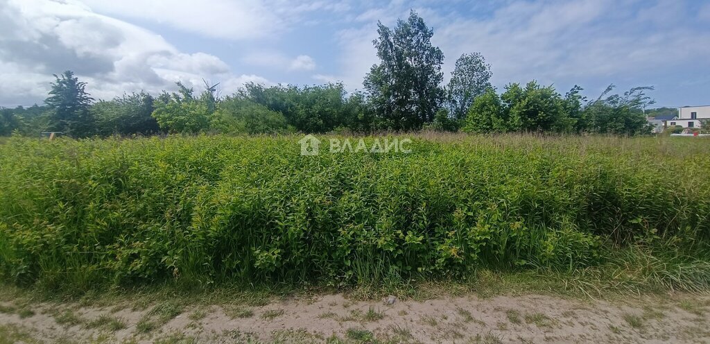 земля р-н Зеленоградский г Зеленоградск снт Сосновка ул Приморская фото 4