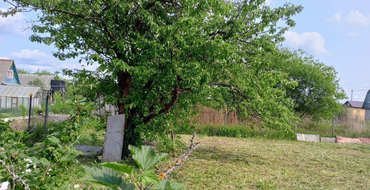 земля г Кострома р-н Фабричный садоводческое товарищество Дубки фото 5