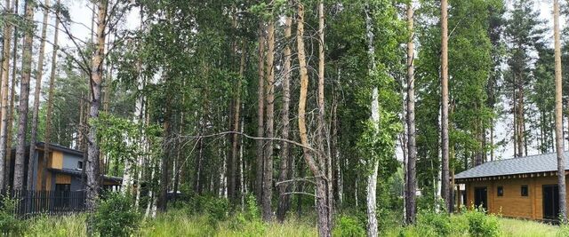 Медвежата кв-л, 52 фото