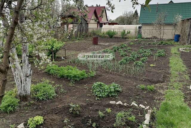 СНТ Светлый фото