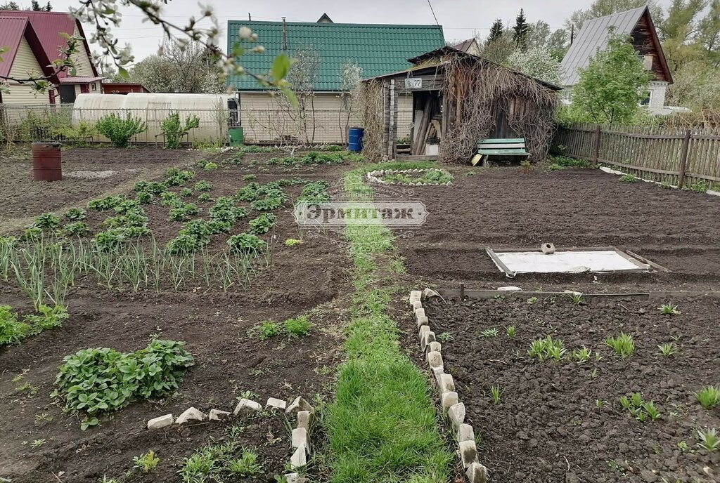 земля г Курган СНТ Светлый фото 4