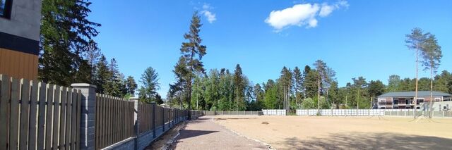 земля Беговая фото