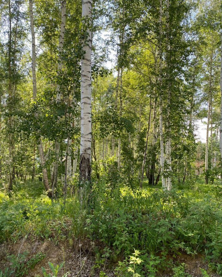 земля г Иркутск р-н Правобережный фото 2