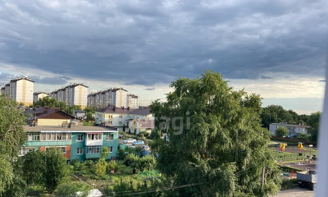 дом 141 фото