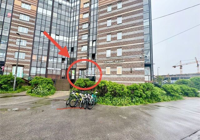 ул Михаила Дудина 23к/1 метро Парнас фото