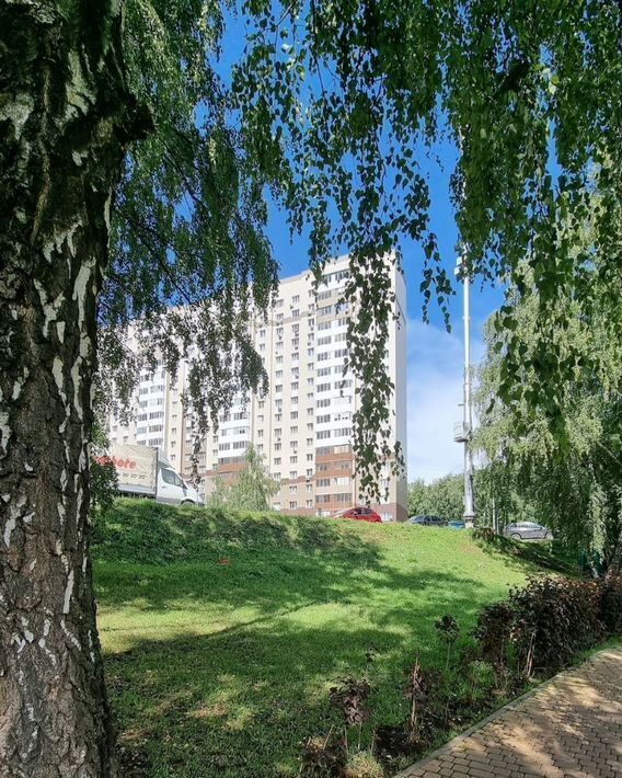 квартира г Видное микрорайон Купелинка квартал Северный 11, Сапроново фото 2