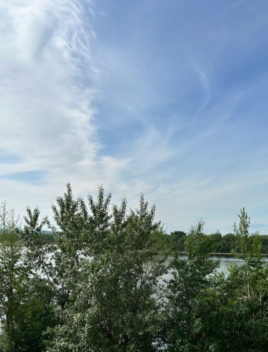 квартира г Энгельс ул Пристанская 85/1 фото 4