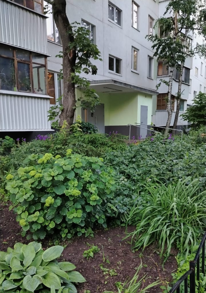 квартира г Зеленоград Зеленоград-Крюково, 8-й м-н, к 811 фото 4