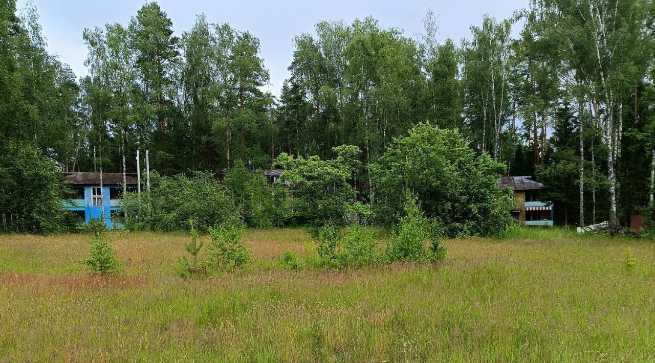 дом р-н Чкаловский г Чкаловск 71-й Пуреховского Лесничества кв-л фото 8