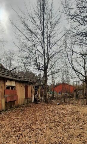 офис Курортный ул Мира 1а фото