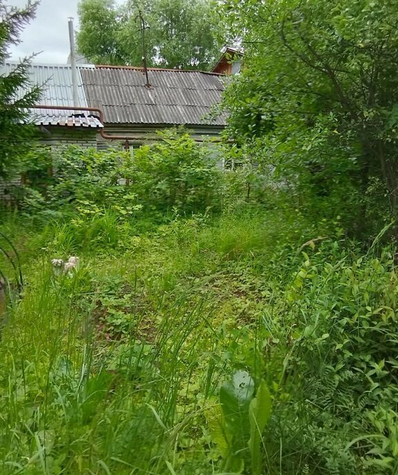 дом г Владимир ул Ново-Ямская 38 фото 1